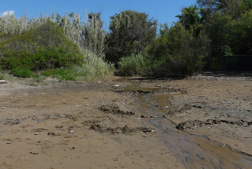 I fossi e lo stagno di Baratti (Piombino - LI)